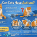 Can Cats Have Autism? What Science Actually Says 5 Can Cats Have Autism
